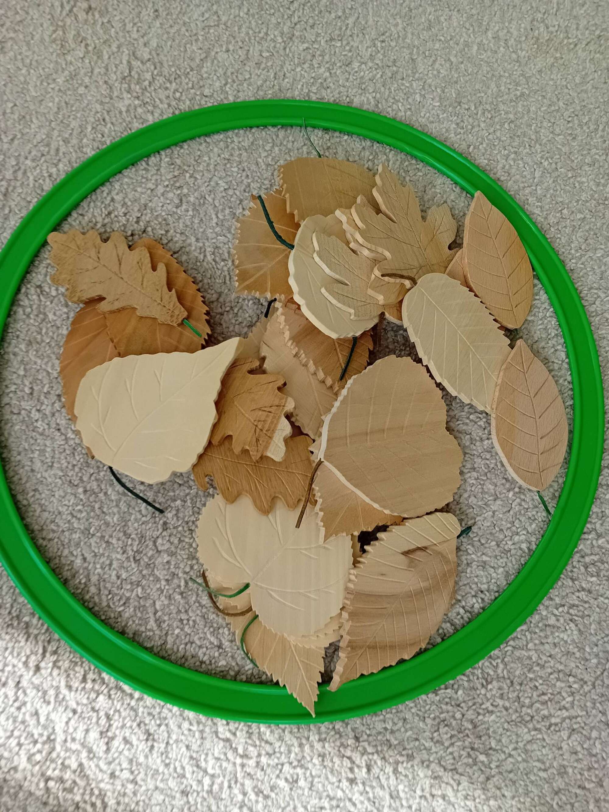 scaled-20251106-105437_43.1762981008